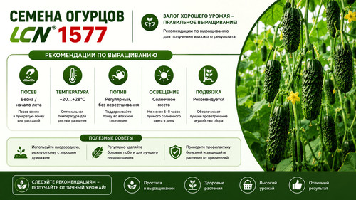 ChatGPT Image 6 мая 2026 г., 13 20 49 результат.jpg