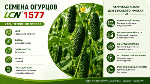 ChatGPT Image 6 мая 2026 г., 13 18 07 результат.jpg