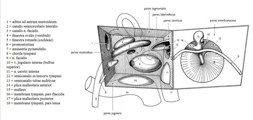 2a2ccd7aca62.jpg