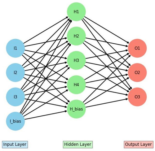 figure 05.jpg