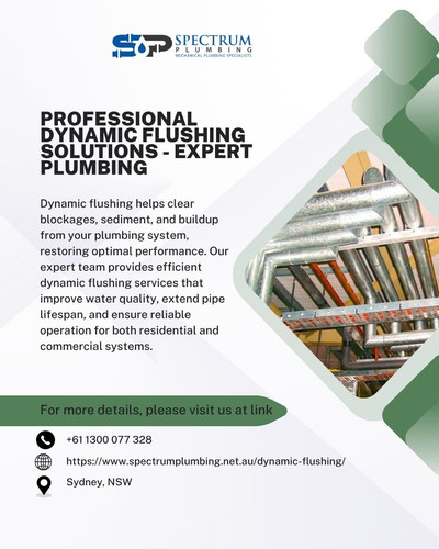 Professional Dynamic Flushing Solutions Expert Plumbing.jpg