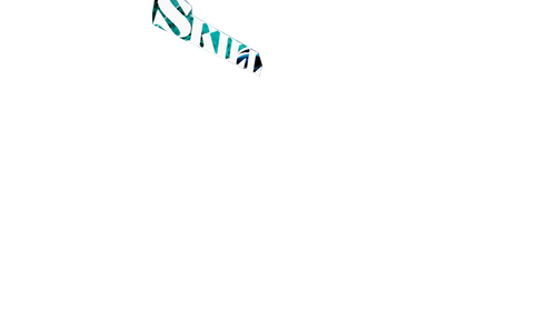 Skill.png