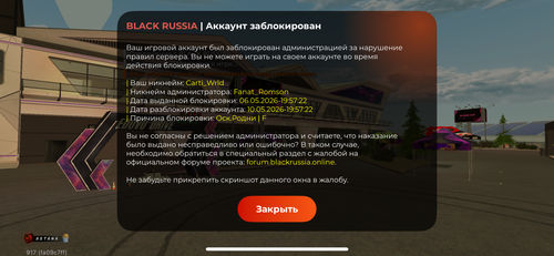 IMG 1655.png