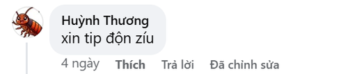 5da8d8b133c4.png