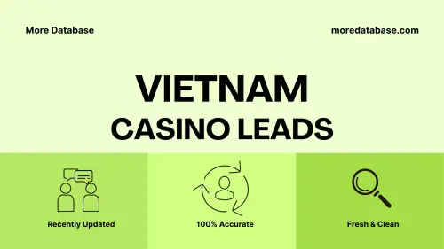 imageye imgi 24 Vietnam Casino Leads.webp