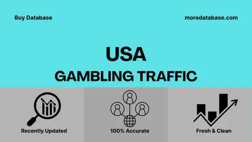 imageye imgi 40 USA Gambling Traffic.webp