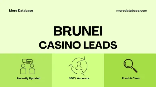 imageye imgi 12 Brunei Casino Leads.webp