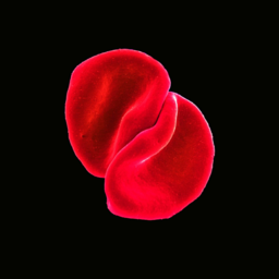 c1bb5323c830.png