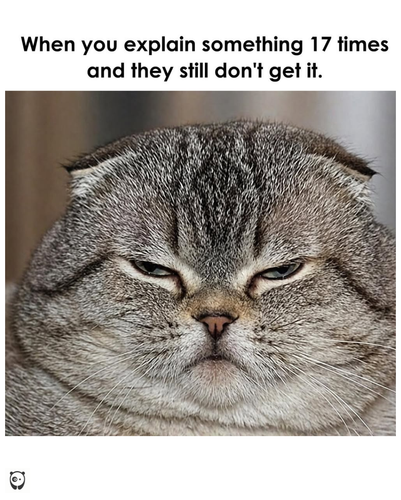 MEME (5).png