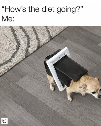 MEME (4).png