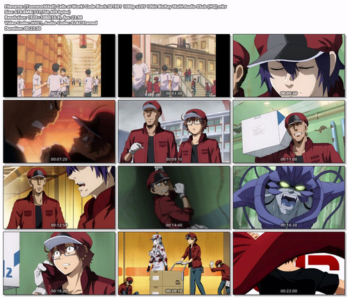 [Toonworld4all] Cells at Work! Code Black S01E01 1080p x265 10bit BluRay Multi Audio ESub [HQ].mkv.jpg