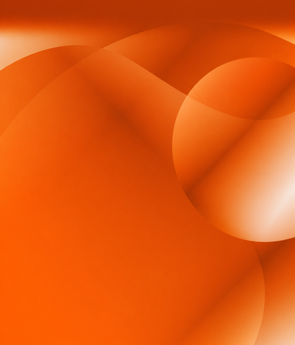 655ccb11 259b 447a 8b2b dc806f9f54aa.png