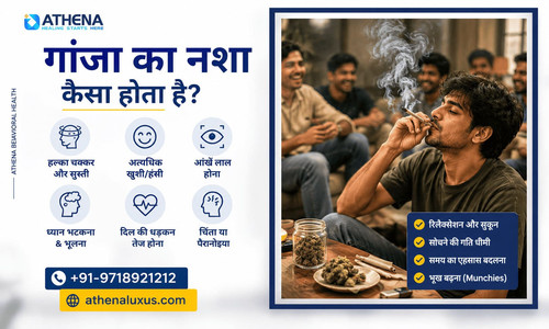 ganja ka nasha kaisa hota hai.jpg