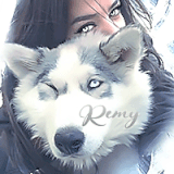 remyhusky.gif