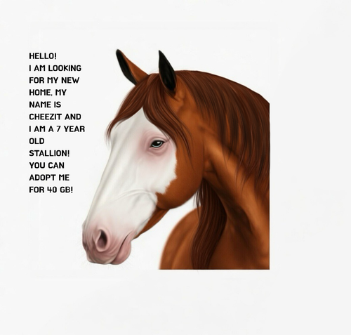 Untitled37 20260506184042.png
