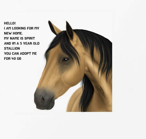 Untitled34 20260506181804.png