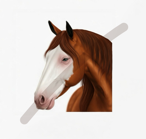 Untitled37 20260506184117.png