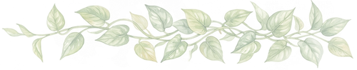 spring6.png