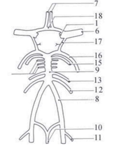 86ea1492902d.png