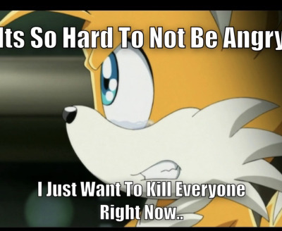 sjsjo13.jpg