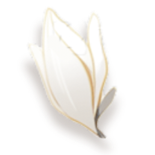 IMG 20260507 110529.png