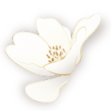 IMG 20260507 104959.png