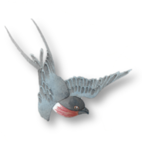 IMG 20260507 105630.png