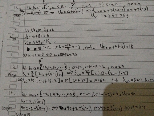 2428.jpg