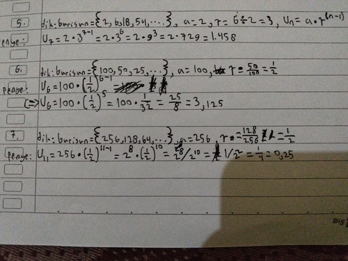 2429.jpg