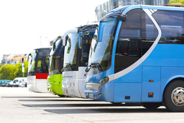 buses 1.jpg