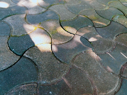 temp.png