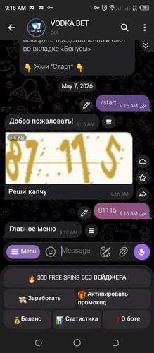689809635 1744225276546811 3713875952411235115 n.jpg
