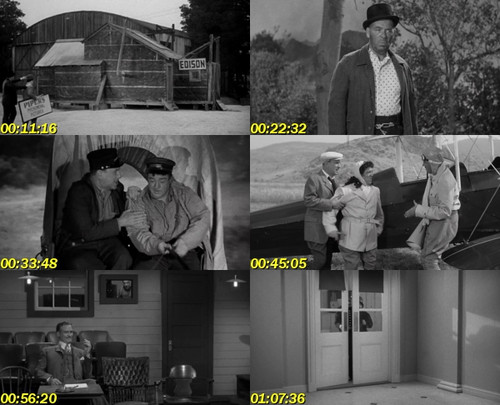 Abbott y Costello vs la poli