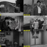 Abbott y Costello vs la poli