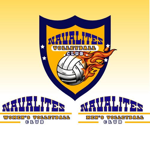 LNA VOLLEYBALL.jpg