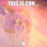 IMG 7950.gif