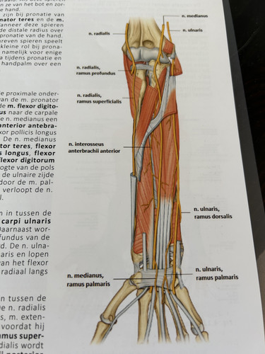 55221c052489.jpg