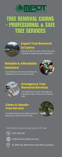 Tree Removal Cairns Professional & Safe Tree Services.jpg