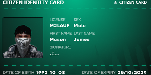 FiveM GTAProcess 8WiZDvtWX8.png