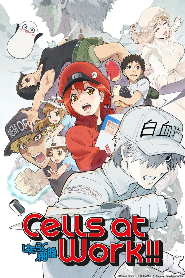 Cells at Work Season 2 Multi Audio Hindi Dub Download CoolToonsIndia