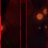 we4.gif