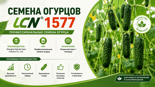 ChatGPT Image 6 мая 2026 г., 13 16 36.png