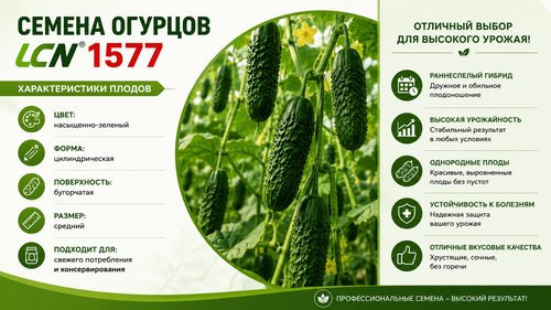 ChatGPT Image 6 мая 2026 г., 13 18 07.png
