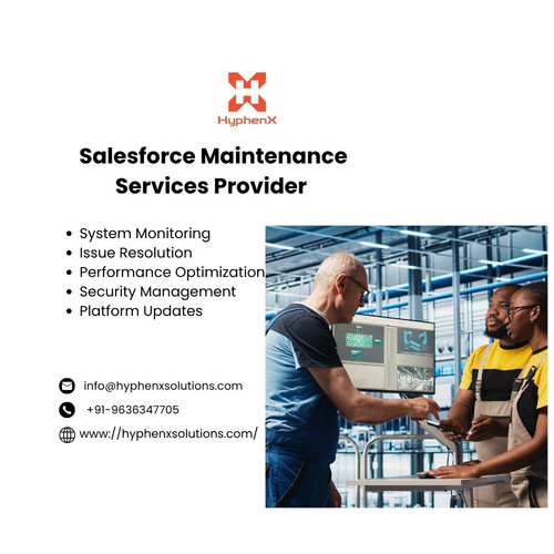 Salesforce Maintenance Services Provider.jpg
