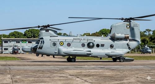 chinook0011.jpg