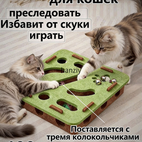 1778069771697.jpg