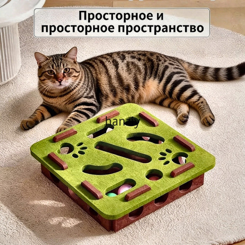 1778069771697.jpg
