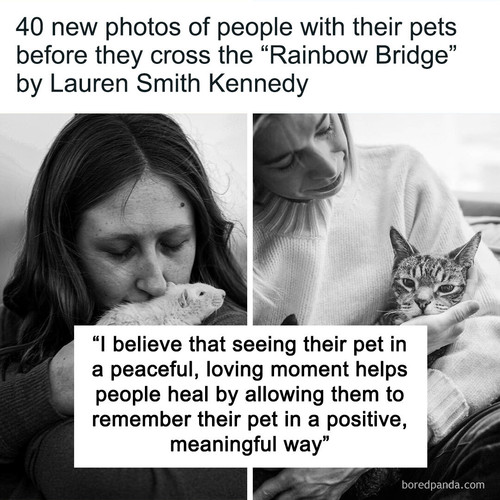 people saying goodbye to their pets.jpg