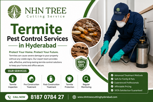 Termite Pest Control Services in Hyderabad.png