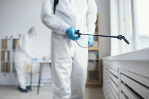 Green Valley Pest Control Las Vegas.jpg